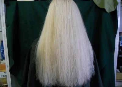 Preferred Wigs